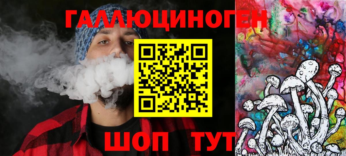 Псилоцибиновые грибы Psilocybine cubensis Новокубанск
