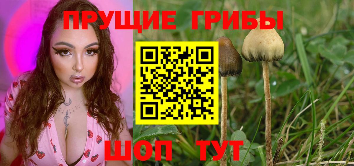 Галлюциногенные грибы Cubensis  Вход с VPN  Псилоцибиновые грибы ЛСД  Новокубанск 