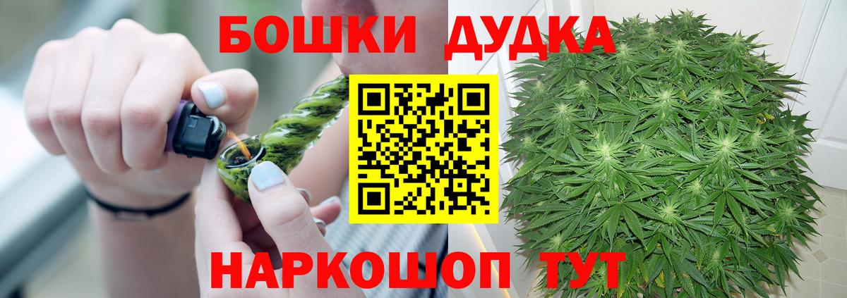 Каннабис план  Бошки Шишки Amnesia  Вход с VPN  Новокубанск  Канабис OG Kush  Конопля Ganja 