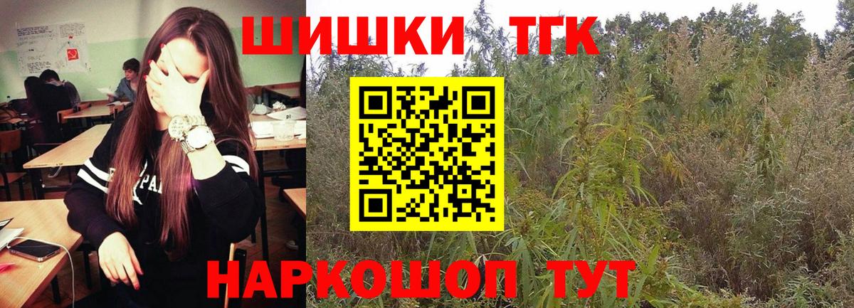 Конопля OG Kush Новокубанск